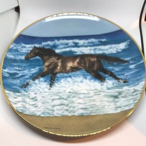 Wave Racer collectors plate 1994 Free Spirits